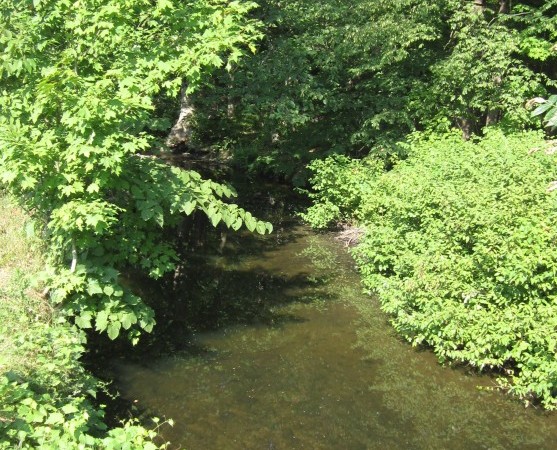 The peaceful stream that runs through the farm